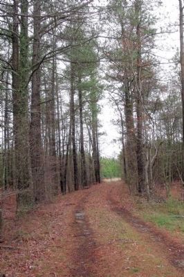 North end of the road trace (private road).. Click for full size. North end of the road trace (private road). image. Click for full size.