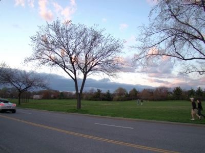 Dusk at West Potomac Park image. Click for full size.