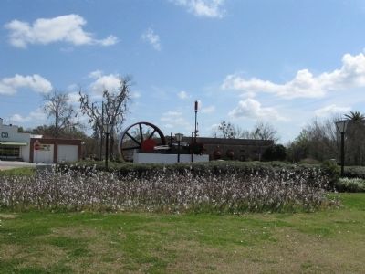Cotton growing behind the Steam Engine. Click for full size. Cotton growing behind the Steam Engine image. Click for full size.