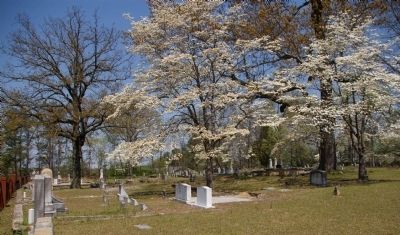 Mt. Zion Methodist Church Cemetery image. Click for full size.
