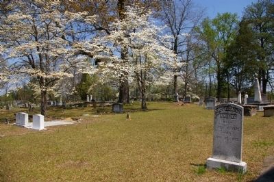 Mt. Zion Methodist Church Cemetery image. Click for full size.