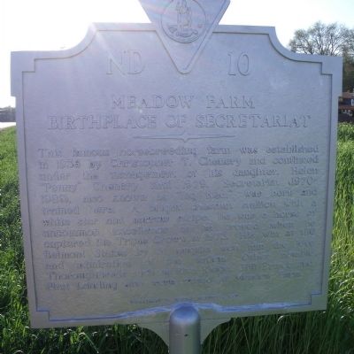 Meadow Farm Marker (painted over) image. Click for full size.