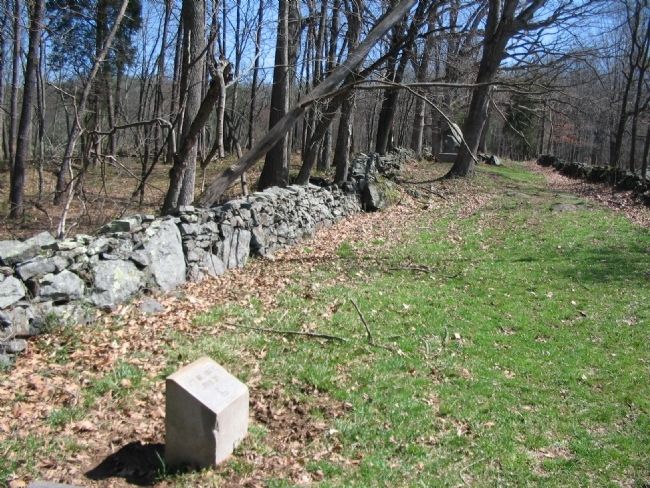Left Flank of the 7th Maine. Click for full size. Left Flank of the 7th Maine image. Click for full size.