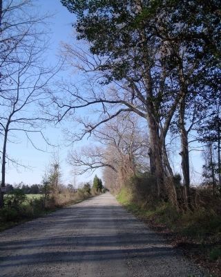 Telegraph Road (wartime trace) image. Click for full size.
