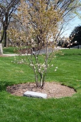 Nearby memorial to POWs and MIAs. Click for full size. Nearby memorial to POWs and MIAs image. Click for full size.