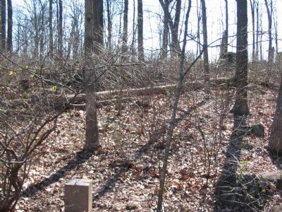 Skirmish Line. Click for full size. Skirmish Line image. Click for full size.