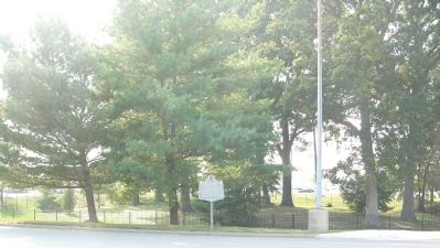 Old Telegraph Road Marker image. Click for full size.