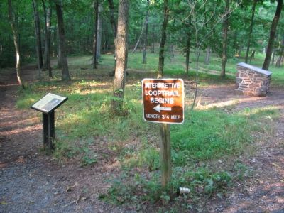 8th Virginia Infantry Marker image. Click for full size.