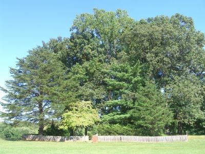 Howison Homestead Cemetary image. Click for full size.