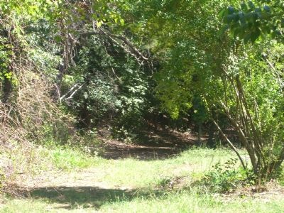 The Old Potomac Path - Inside the Gate. image. Click for full size.