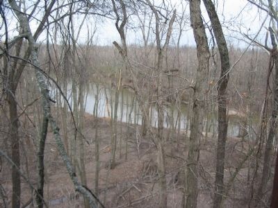 St. Francis River Bottom image. Click for full size.