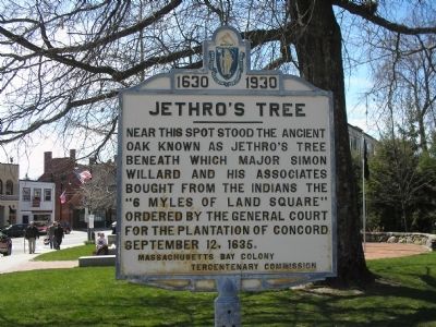 Jethro’s Tree Marker image. Click for full size.