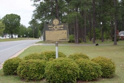 Paul Anderson Marker, looking north along McIntosh St (Ga 297) image. Click for full size.