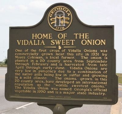 Home of the Vidalia Sweet Onion Marker image. Click for full size.