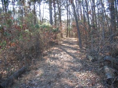 Railroad Bed. Click for full size. Railroad Bed image. Click for full size.