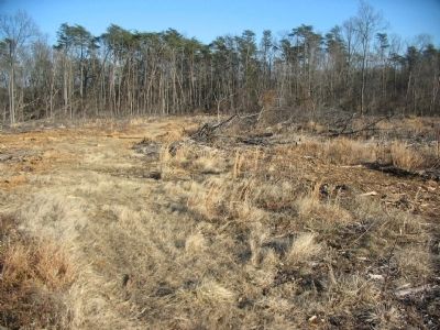 Cleared Ground image. Click for full size.