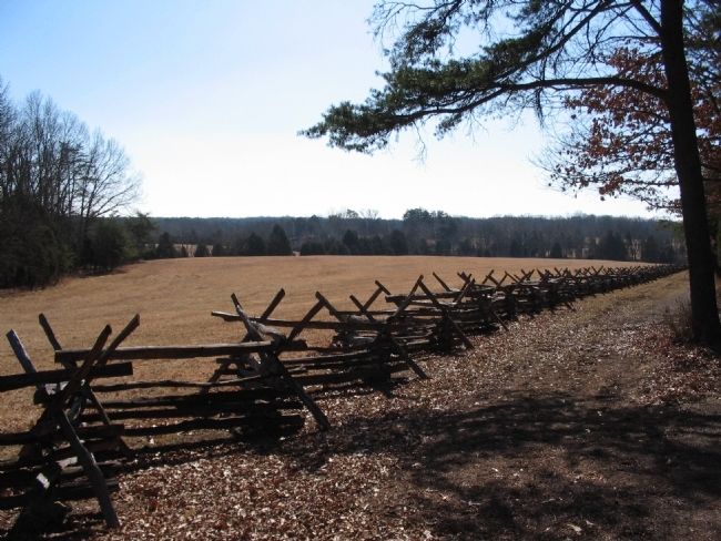 Restored Fence Line image. Click for full size.