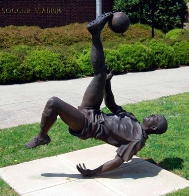 Male Soccer Player. Click for full size. Male Soccer Player image. Click for full size.