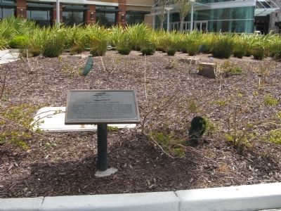Tanforan Racetrack Japanese Assembly Center Marker. Click for full size. Tanforan Racetrack Japanese Assembly Center Marker image. Click for full size.