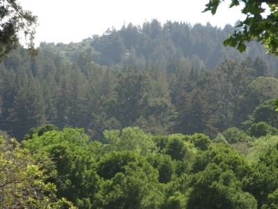 Hillside Up to Alpine Road. Click for full size. Hillside Up to Alpine Road image. Click for full size.