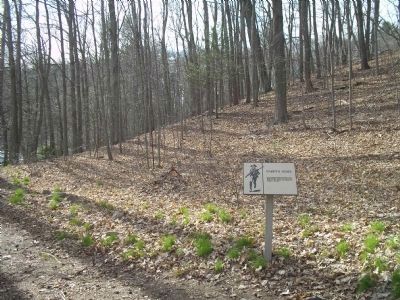 Marker off Lexington Road image. Click for full size.