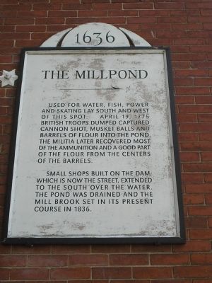 The Millpond Marker image. Click for full size.