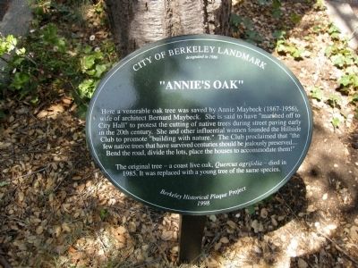 "Annie's Oak" Marker. Click for full size. "Annie's Oak" Marker image. Click for full size.