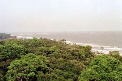 Looking Northeast from atop Hunting Island Light House. Click for full size. Looking Northeast from atop Hunting Island Light House image. Click for full size.