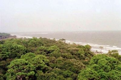 Looking Northeast from atop Hunting Island Light House image. Click for full size.