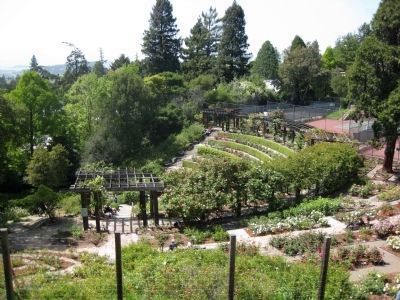 Berkeley Rose Garden - Exterior from the Southeast image. Click for full size.