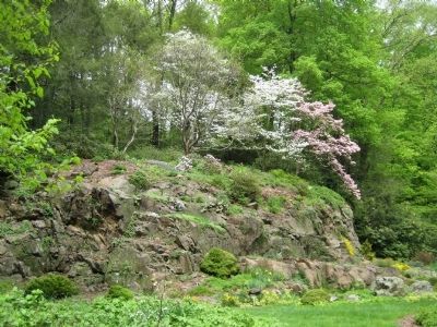 Rock Outcropping Described On Marker. Click for full size. Rock Outcropping Described On Marker image. Click for full size.