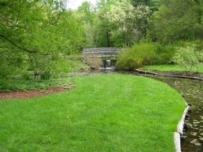 Stream through Moggy Hollow. Click for full size. Stream through Moggy Hollow image. Click for full size.
