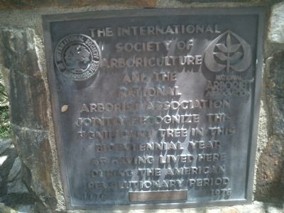 The International Society of Arboriculture and the National Arborist Association Marker image. Click for full size.