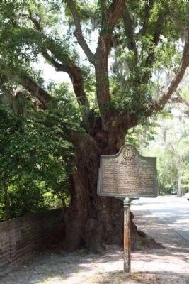 The Wesley Oak Marker, looking north along Frederica Road image. Click for full size.