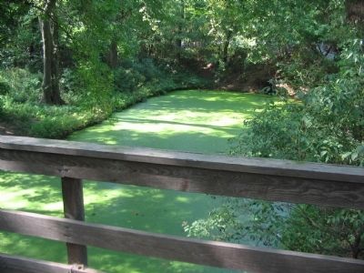 Portion of the old Canal near the Marker. Click for full size. Portion of the old Canal near the Marker image. Click for full size.