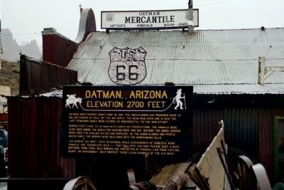 Oatman, Arizona Marker image. Click for full size.