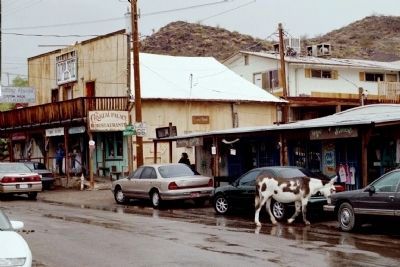 Oatman, Arizona where Burros rule the road image. Click for full size.