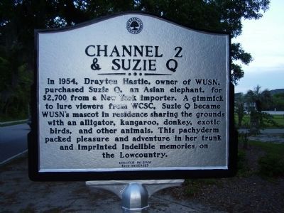 Channel 2 & Suzie Q Marker image. Click for full size.
