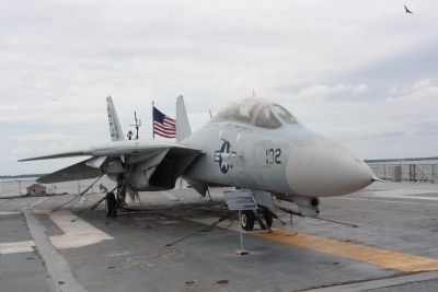 F-14 Tomcat image. Click for full size.