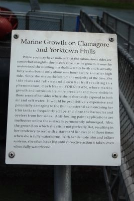 Marine Growth on Clamagore and Yorktown Hulls image. Click for full size.