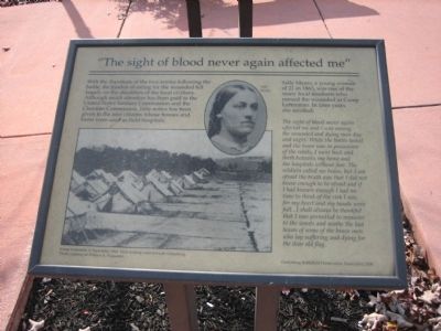"The sight of blood never again affected me" Marker image. Click for full size.