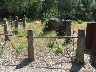 Odd Fellows Cemetery. Click for full size. Odd Fellows Cemetery image. Click for full size.