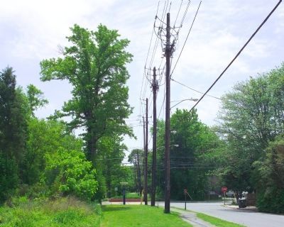 Trolley Trail. Click for full size. Trolley Trail image. Click for full size.