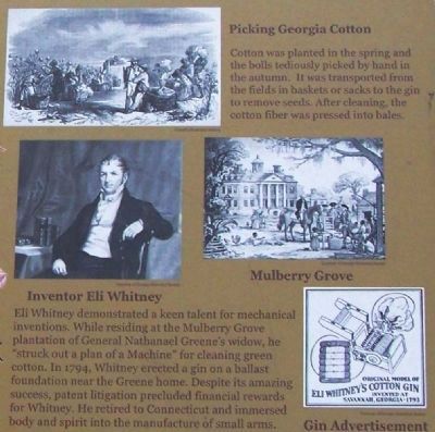 Picking Cotton, Inventor Eli Whitney, Mulberry Grove, Gin Advertisement image. Click for full size.
