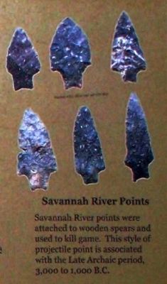 Savannah River points image. Click for full size.