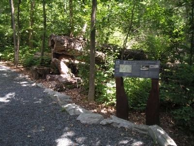 Marker on Mount Independence. Click for full size. Marker on Mount Independence image. Click for full size.