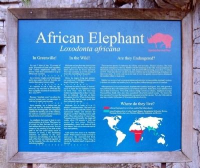 African Elephant Marker image. Click for full size.