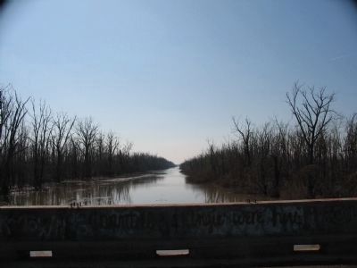New Madrid Floodway image. Click for full size.