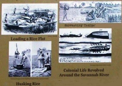 Harvesting Rice, Husking Rice, Harvesting Indigo, Colonial Life Revolved Around the Savannah River image. Click for full size.