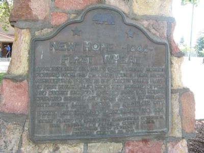 New Hope – 1846 Marker image. Click for full size.